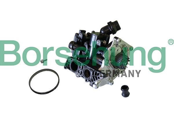 Borsehung B11206 Water pump B11206: Buy near me at 2407.PL in Poland at an Affordable price!