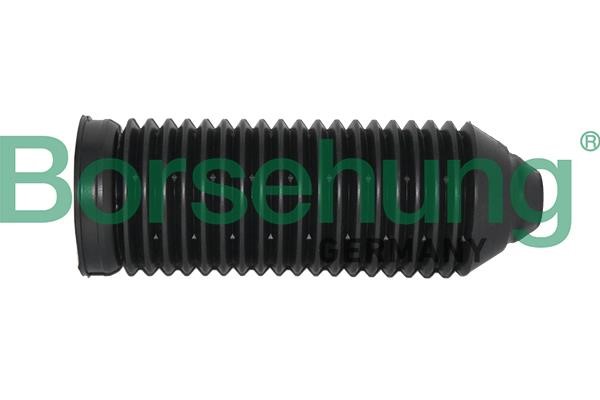 Borsehung B10152 Shock absorber boot B10152: Buy near me in Poland at 2407.PL - Good price!