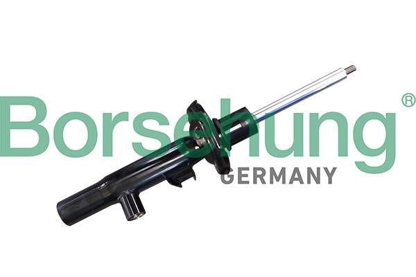 Borsehung B11178 Front suspension shock absorber B11178: Buy near me in Poland at 2407.PL - Good price!