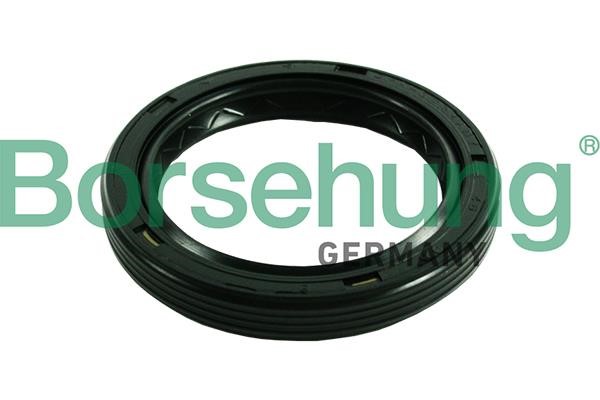 Borsehung B17839 Shaft Seal, manual transmission flange B17839: Buy near me at 2407.PL in Poland at an Affordable price!