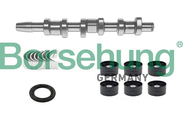 Borsehung B18665 Camshaft B18665: Buy near me at 2407.PL in Poland at an Affordable price!