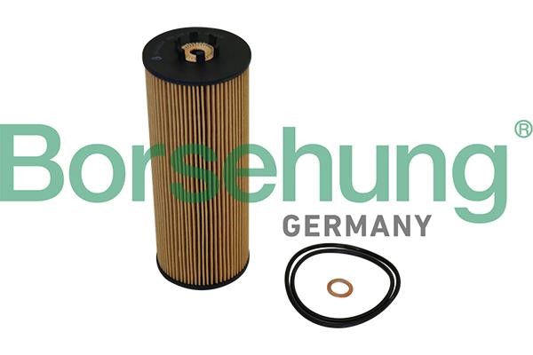Borsehung B10544 Oil Filter B10544: Buy near me in Poland at 2407.PL - Good price!