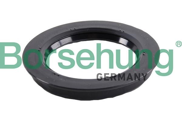 Borsehung B17835 Shaft Seal, wheel bearing B17835: Buy near me in Poland at 2407.PL - Good price!