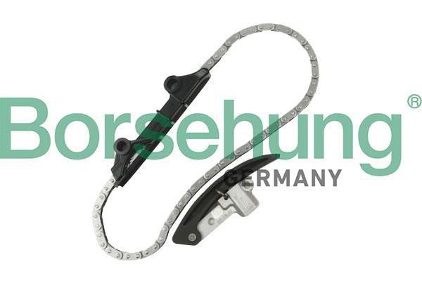 Borsehung B10209 Комплект цепи ГРМ B10209: Купить в Польше - Отличная цена на 2407.PL!