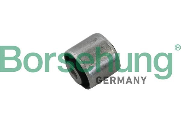 Borsehung B19195 Control Arm-/Trailing Arm Bush B19195: Buy near me in Poland at 2407.PL - Good price!