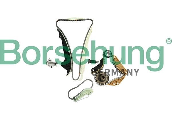 Borsehung B19254 Timing chain kit B19254: Buy near me in Poland at 2407.PL - Good price!