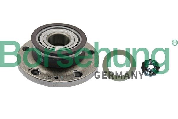 Borsehung B19237 Wheel bearing kit B19237: Buy near me in Poland at 2407.PL - Good price!