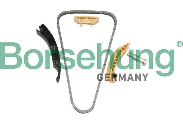 Borsehung B10208 Timing chain kit B10208: Buy near me in Poland at 2407.PL - Good price!