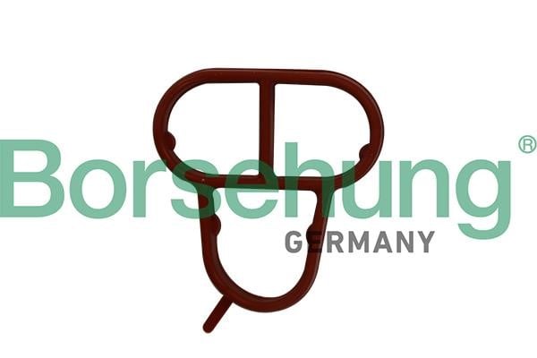 Borsehung B10623 Oil cooler gasket B10623: Buy near me in Poland at 2407.PL - Good price!