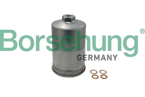 Borsehung B19091 Топливный фильтр B19091: Отличная цена - Купить в Польше на 2407.PL!
