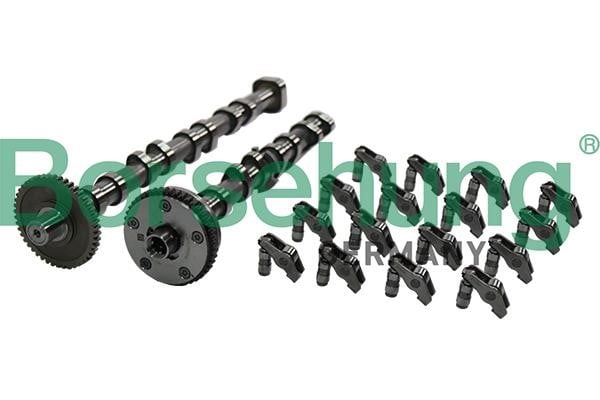 Borsehung B19173 Camshaft in B19173: Buy near me in Poland at 2407.PL - Good price!