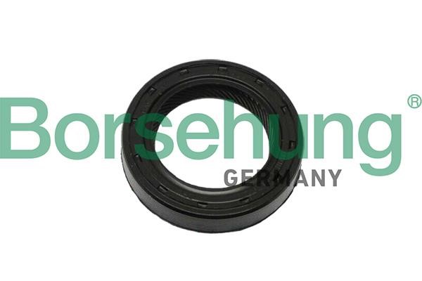 Borsehung B12195 Shaft Seal, differential B12195: Buy near me in Poland at 2407.PL - Good price!