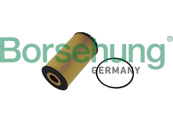Borsehung B10518 Oil Filter B10518: Buy near me at 2407.PL in Poland at an Affordable price!