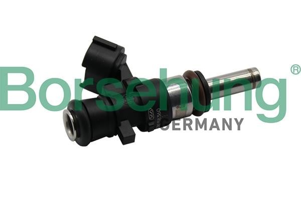 Borsehung B11157 Injector fuel B11157: Buy near me at 2407.PL in Poland at an Affordable price!