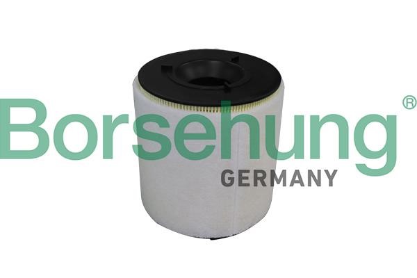 Borsehung B10539 Air filter B10539: Buy near me in Poland at 2407.PL - Good price!