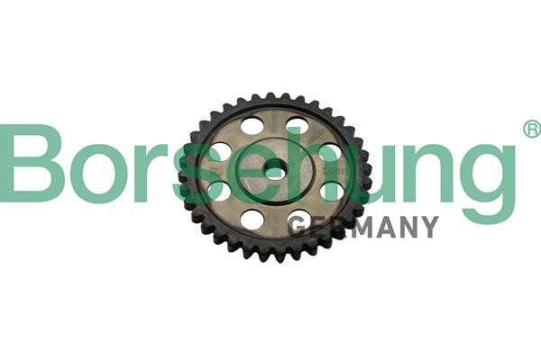 Borsehung B1S013 Timing chain kit B1S013: Buy near me in Poland at 2407.PL - Good price!
