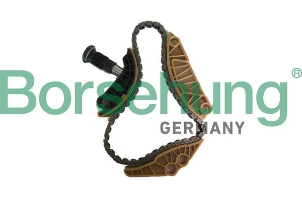 Borsehung B18779 Timing chain kit B18779: Buy near me in Poland at 2407.PL - Good price!