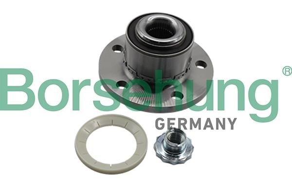 Borsehung B19309 Wheel bearing kit B19309: Buy near me at 2407.PL in Poland at an Affordable price!