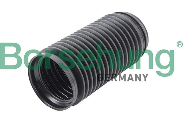 Borsehung B19167 Shock absorber boot B19167: Buy near me in Poland at 2407.PL - Good price!