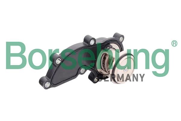 Borsehung B18961 Thermostat, coolant B18961: Buy near me in Poland at 2407.PL - Good price!