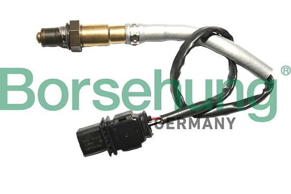 Borsehung B18929 Lambda Sensor B18929: Buy near me in Poland at 2407.PL - Good price!