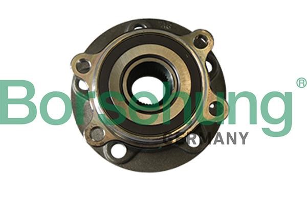 Borsehung B11290 Wheel bearing kit B11290: Buy near me in Poland at 2407.PL - Good price!