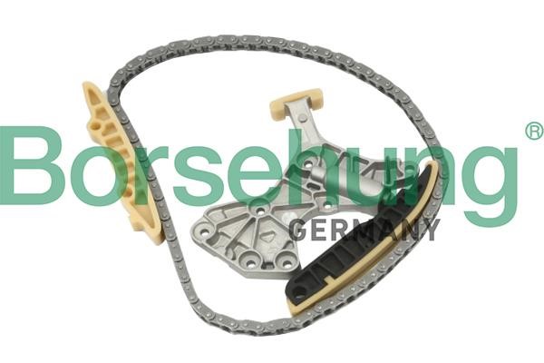 Borsehung B10205 Timing chain kit B10205: Buy near me in Poland at 2407.PL - Good price!