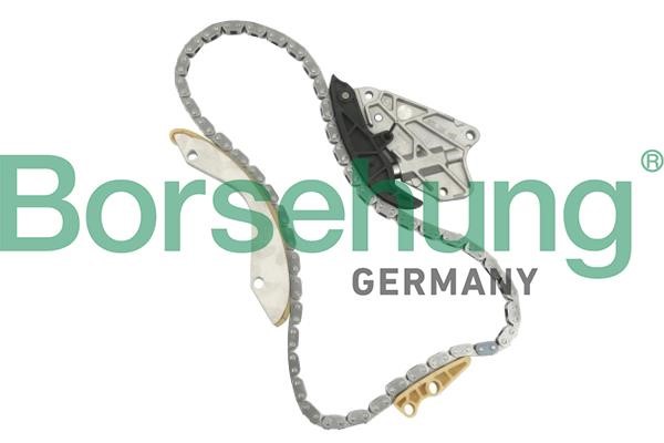 Borsehung B10206 Комплект ланцюга ГРМ B10206: Купити у Польщі - Добра ціна на 2407.PL!