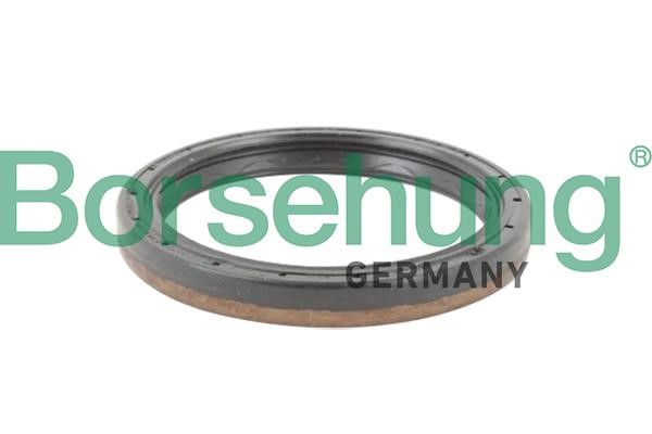 Borsehung B12198 Shaft Seal, differential B12198: Buy near me in Poland at 2407.PL - Good price!