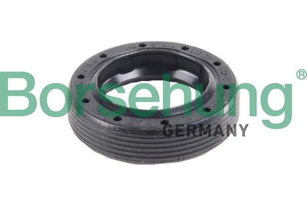 Borsehung B17838 Gearshift rod oil seal B17838: Buy near me in Poland at 2407.PL - Good price!