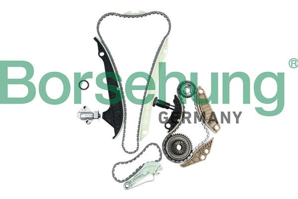 Borsehung B19209 Timing chain kit B19209: Buy near me at 2407.PL in Poland at an Affordable price!