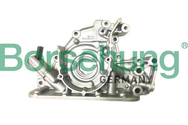 Borsehung B18738 OIL PUMP B18738: Buy near me at 2407.PL in Poland at an Affordable price!