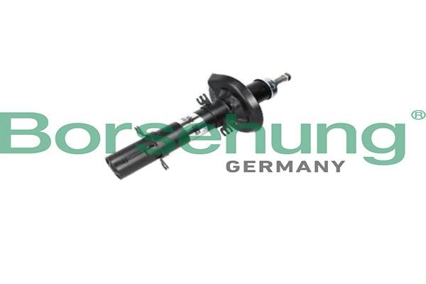 Borsehung B18686 Front oil and gas suspension shock absorber B18686: Buy near me in Poland at 2407.PL - Good price!