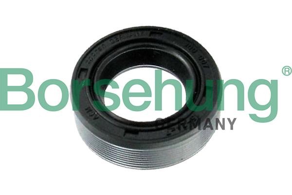 Borsehung B17837 Shaft Seal, differential B17837: Buy near me in Poland at 2407.PL - Good price!