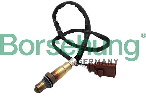 Borsehung B18920 Lambda Sensor B18920: Buy near me in Poland at 2407.PL - Good price!