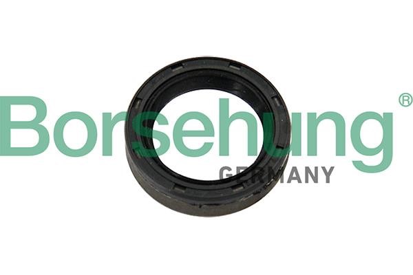 Borsehung B12192 Ring sealing B12192: Buy near me in Poland at 2407.PL - Good price!