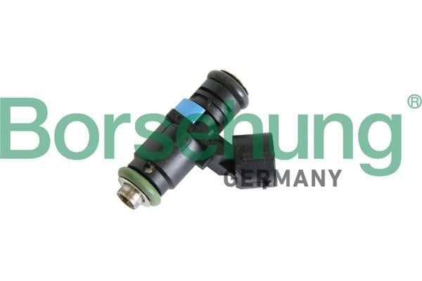 Borsehung B11159 Injector fuel B11159: Buy near me in Poland at 2407.PL - Good price!