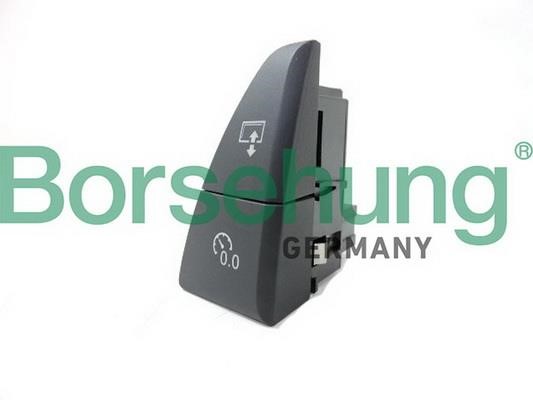 Borsehung B18599 Multi-Function Switch B18599: Buy near me in Poland at 2407.PL - Good price!