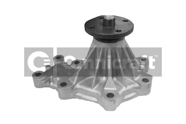 Omnicraft 2317407 Water pump 2317407: Buy near me in Poland at 2407.PL - Good price!