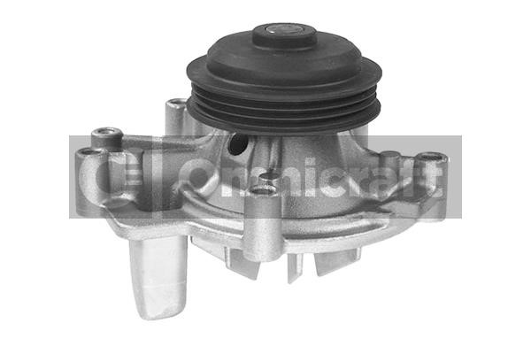 Omnicraft 2317403 Water pump 2317403: Buy near me in Poland at 2407.PL - Good price!