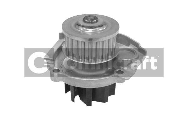 Omnicraft 2316876 Water pump 2316876: Buy near me in Poland at 2407.PL - Good price!