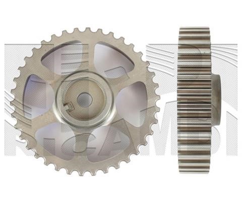 Autoteam AA1167 Camshaft Drive Gear AA1167: Buy near me in Poland at 2407.PL - Good price!