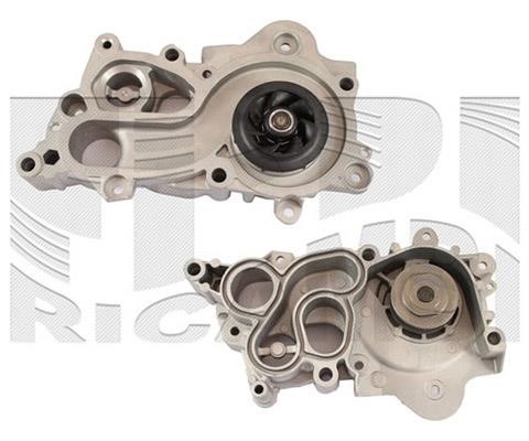 Caliber WPC543 Water pump WPC543: Buy near me in Poland at 2407.PL - Good price!