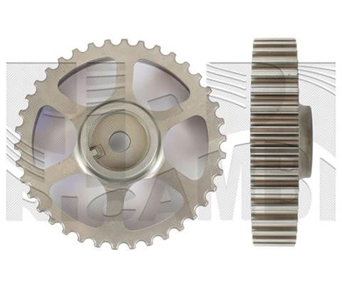 Caliber 89468 Camshaft Drive Gear 89468: Buy near me in Poland at 2407.PL - Good price!