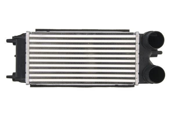 Thermotec DAG018TT Intercooler, charger DAG018TT: Buy near me in Poland at 2407.PL - Good price!