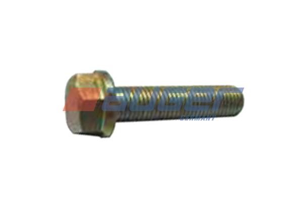 Auger 72320 Bolt 72320: Buy near me in Poland at 2407.PL - Good price!