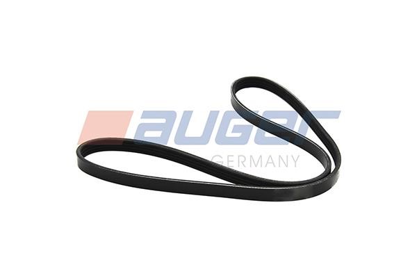 Auger 80123 V-Ribbed Belt 80123: Buy near me in Poland at 2407.PL - Good price!