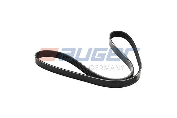 Auger 80141 V-Ribbed Belt 80141: Buy near me in Poland at 2407.PL - Good price!