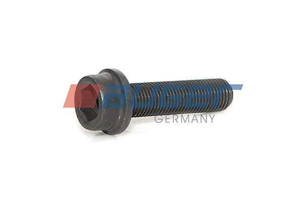 Auger 79243 Fastening Bolt, stabilizer 79243: Buy near me in Poland at 2407.PL - Good price!
