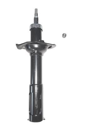 Gold 8250059 Front oil shock absorber 8250059: Buy near me in Poland at 2407.PL - Good price!